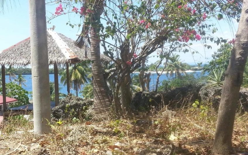 Lot for sale overlooking to Tulang Diot Island
