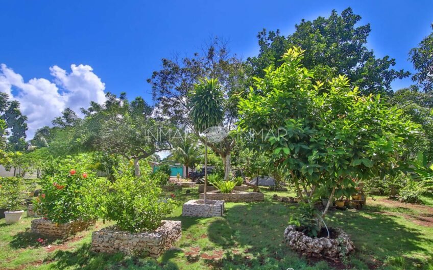 Tropical Native House with Big Garden