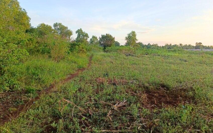 Cheapest Price│Lot for Sale in Camotes!!! Great Business Opportunity