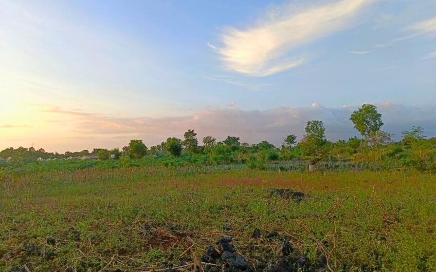 Cheapest Price│Lot for Sale in Camotes!!! Great Business Opportunity