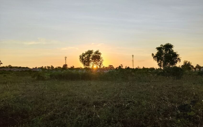 Cheapest Price│Lot for Sale in Camotes!!! Great Business Opportunity