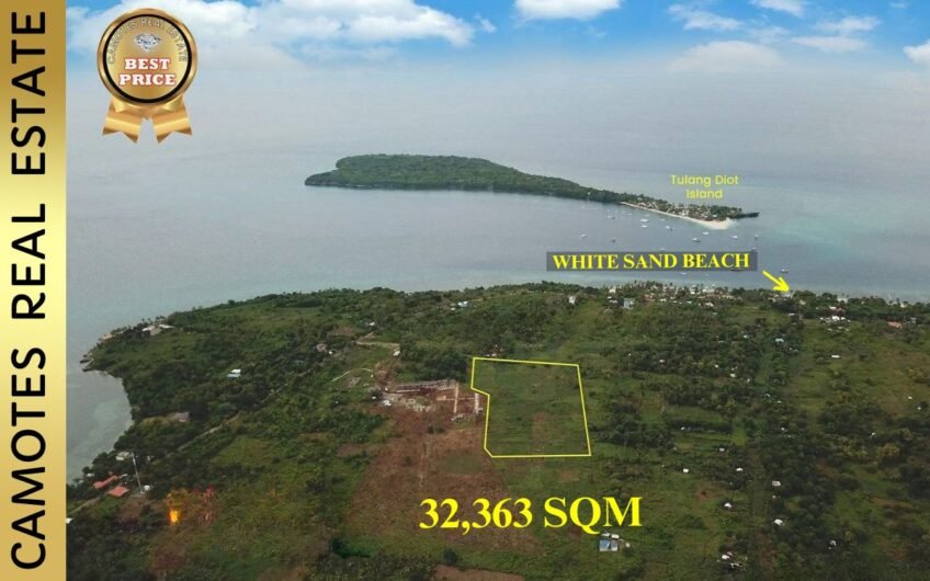 Cheapest Price│Lot for Sale in Camotes!!! Great Business Opportunity