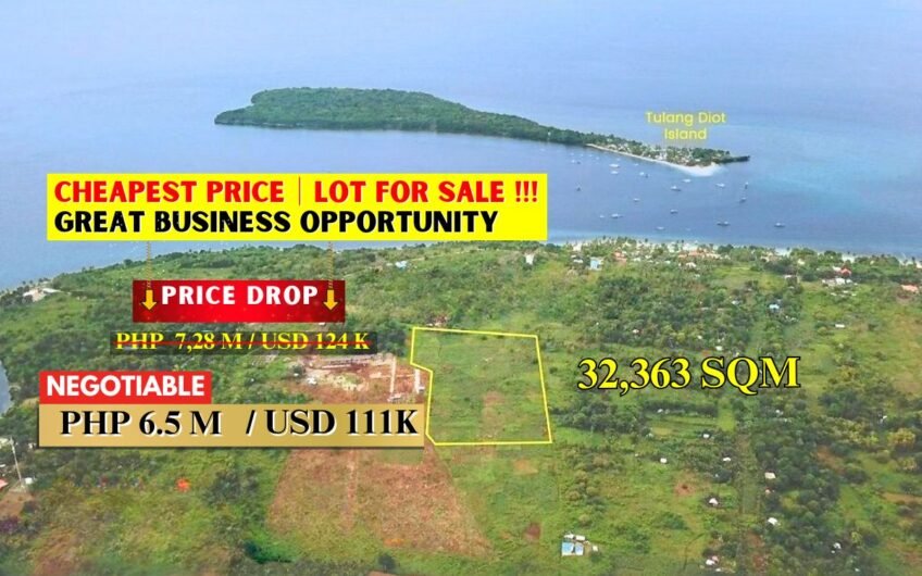 Cheapest Price│Lot for Sale in Camotes!!! Great Business Opportunity