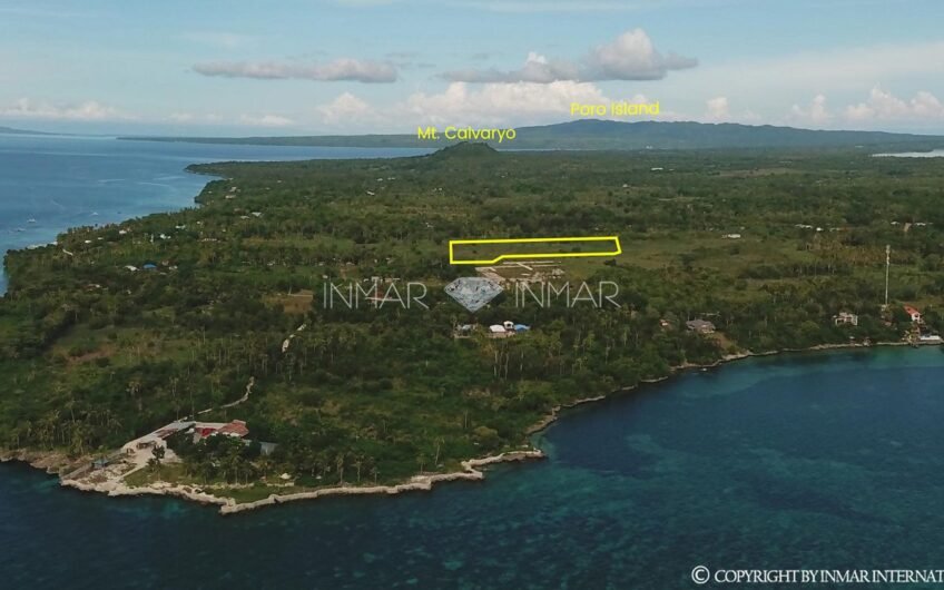 Cheapest Price│Lot for Sale in Camotes!!! Great Business Opportunity