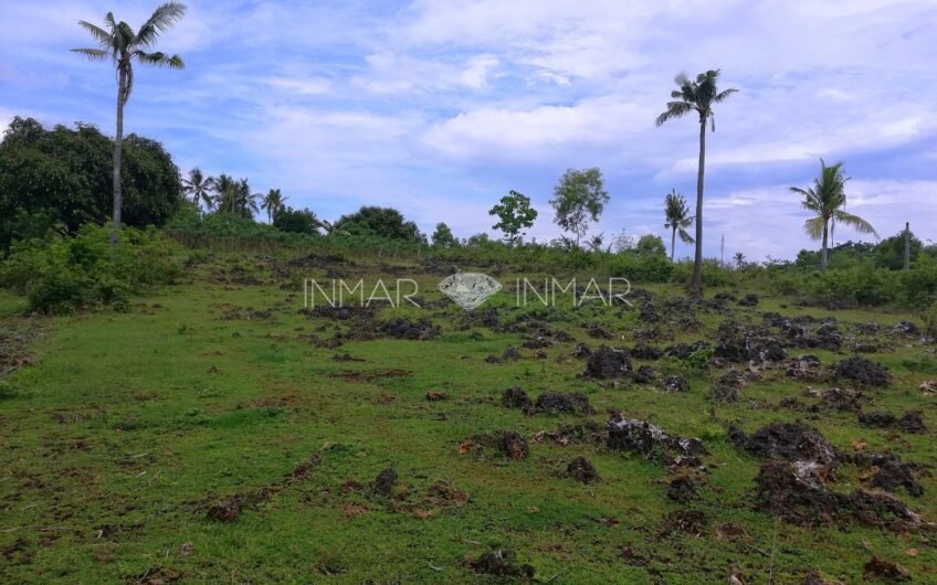 Subdivision Lot for Sale in Tulang Daku – 7&8 Lots