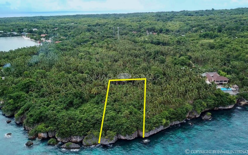 Beach Cliff Lot for Sale near Santiago Beach