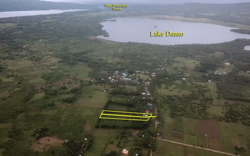 Cheapest Subdivision Lot for Sale in Camotes
