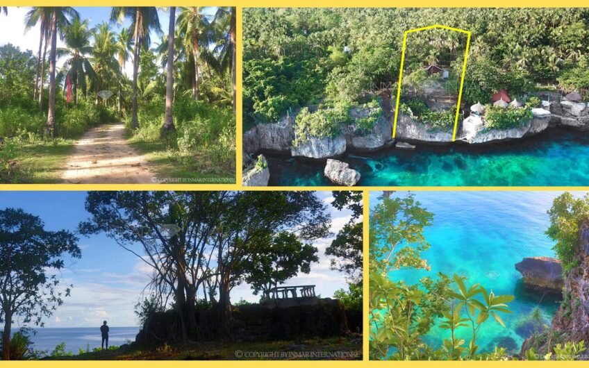Oceanfront Lot near Santiago Beach in Camotes