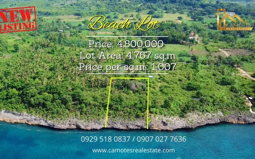 Beachfront Lot for Sale – Eastside of Camotes Island