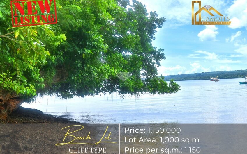 Affordable Beach Lot for Sale in Camotes Island, Cebu