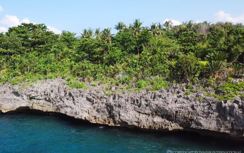 Beachfront Lot for Sale – Eastside of Camotes Island