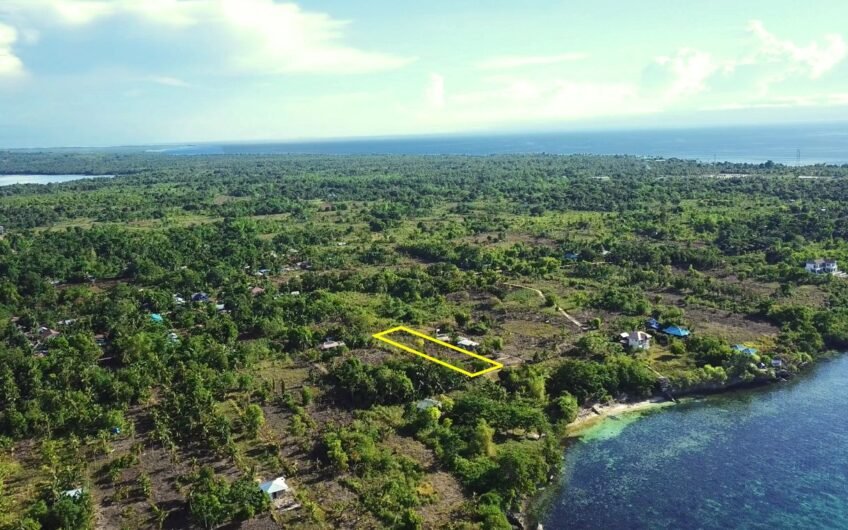 Residential lot for sale near the beach in Camotes