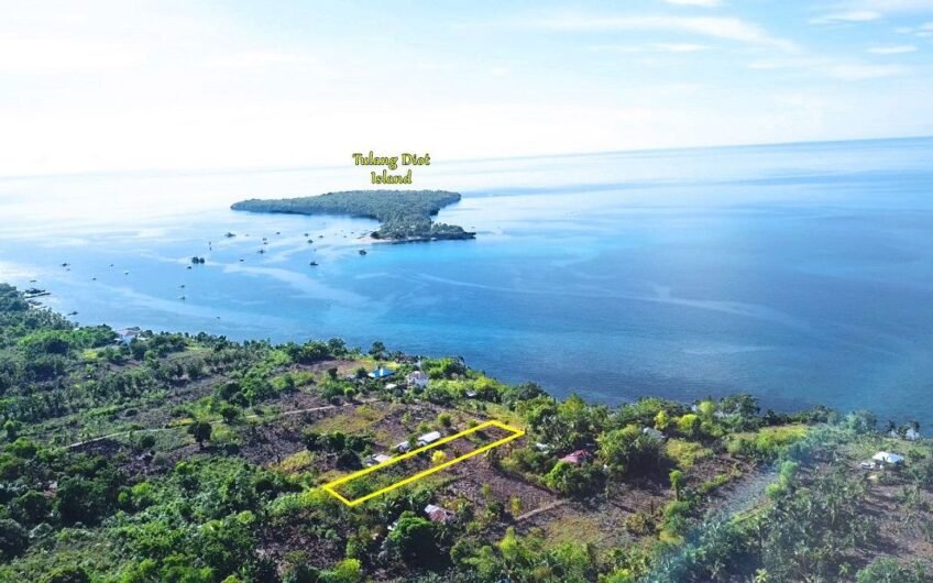 Residential lot for sale near the beach in Camotes