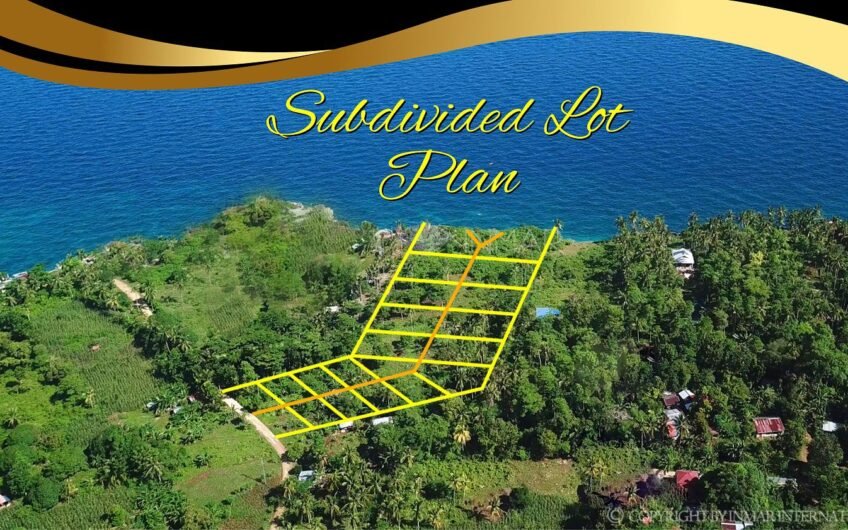 Business opportunity: 13,000 sqm Beach Lot on Camotes