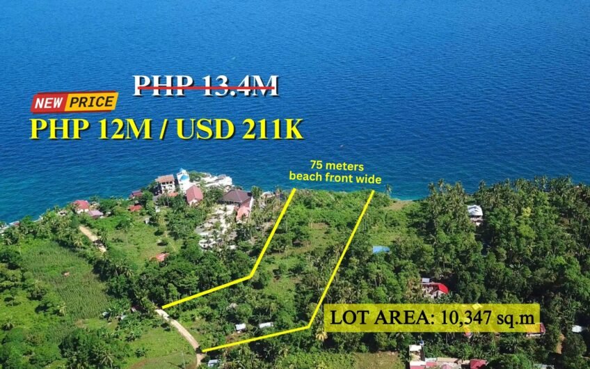 Business opportunity: 10,347 sqm Beach Lot on Camotes