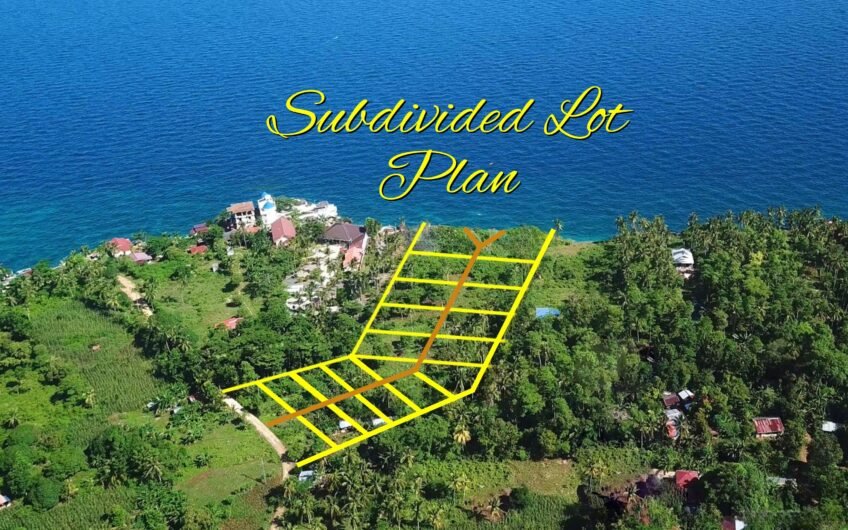 Business opportunity: 10,347 sqm Beach Lot on Camotes