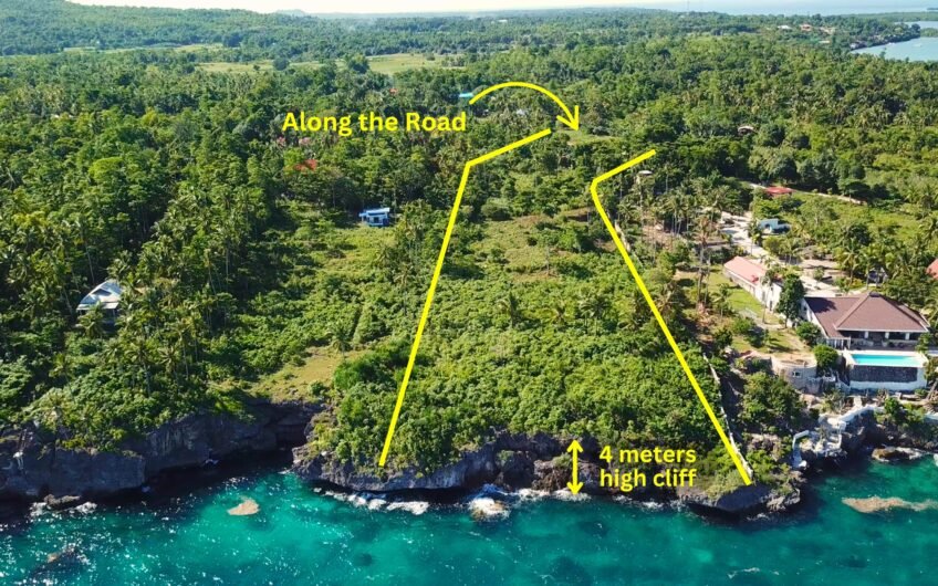 Business opportunity: 10,347 sqm Beach Lot on Camotes