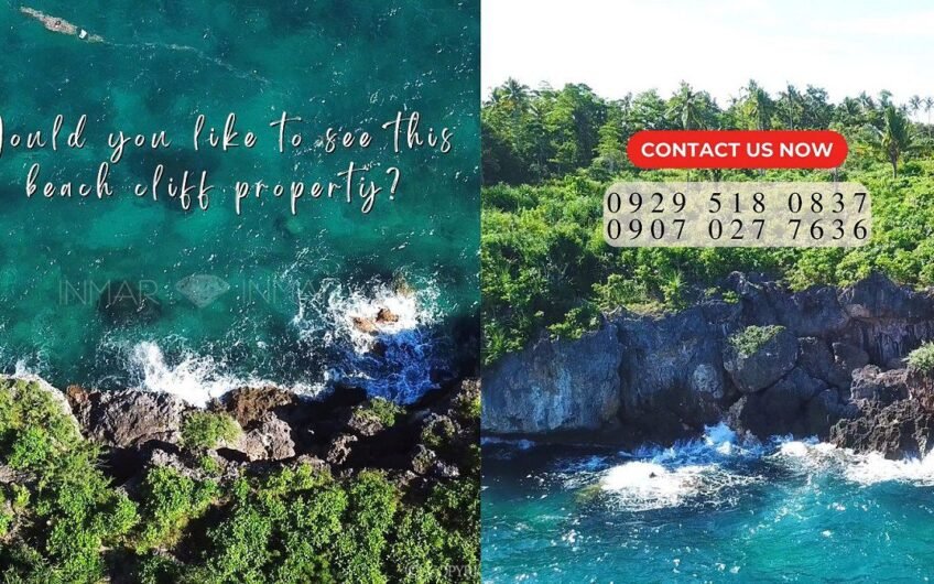 Business opportunity: 10,347 sqm Beach Lot on Camotes