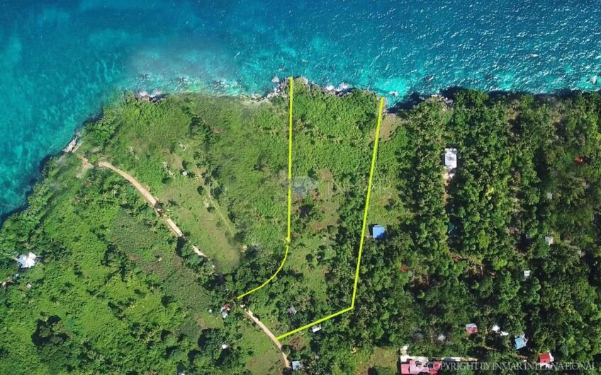 Business opportunity: 10,347 sqm Beach Lot on Camotes