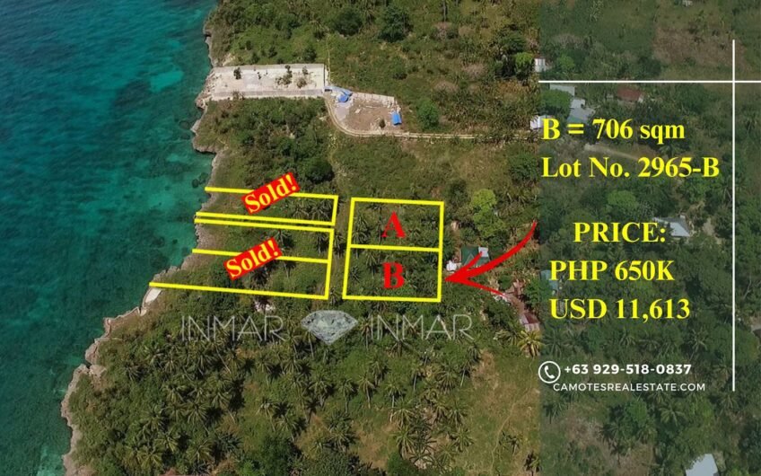Budget Oceanfront Subdivided Lot for Sale
