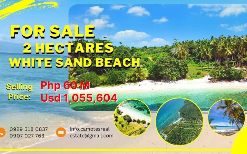 2 Hectares of Beach Lot on Camotes