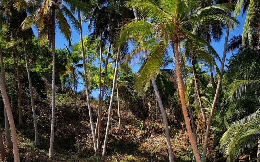 Top 5 Affordable Beach Properties