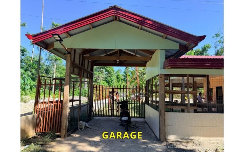 Top 6 Affordable Houses