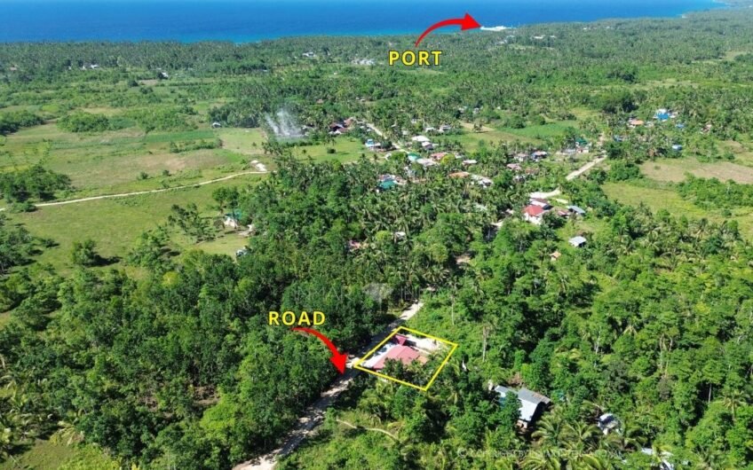 Top 6 Affordable Houses