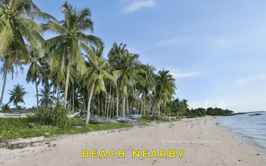 Top 6 Affordable Houses