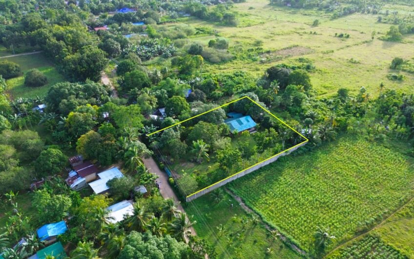 Top 6 Affordable Houses