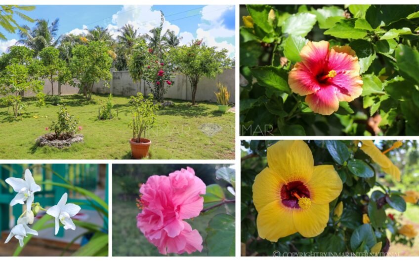 Top 6 Affordable Houses