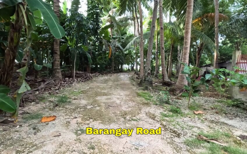 Top 5 Afffordable Beach Properties