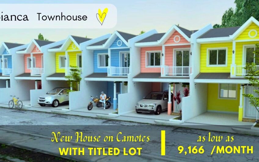 Affordable House with a Title on Camotes