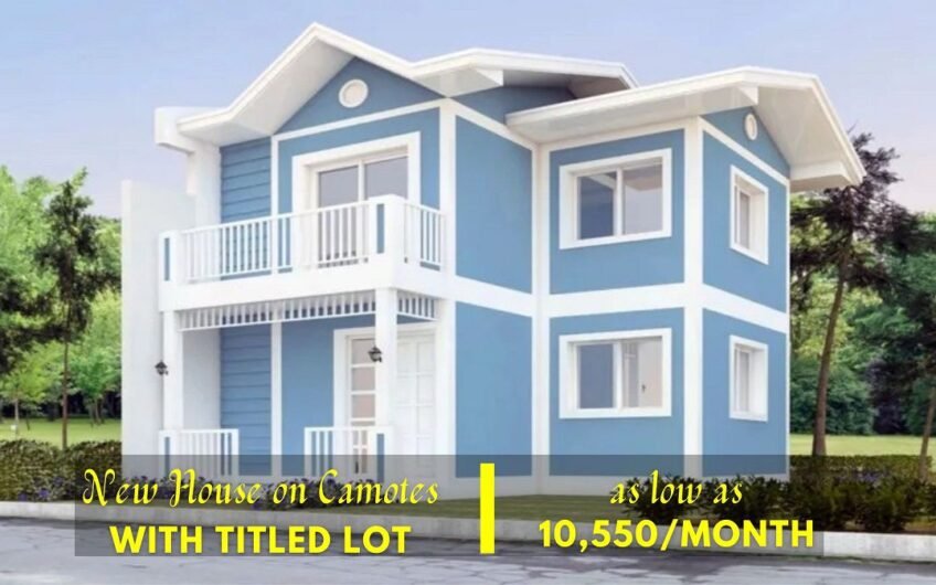 Three-Bedroom House in a Subdivision