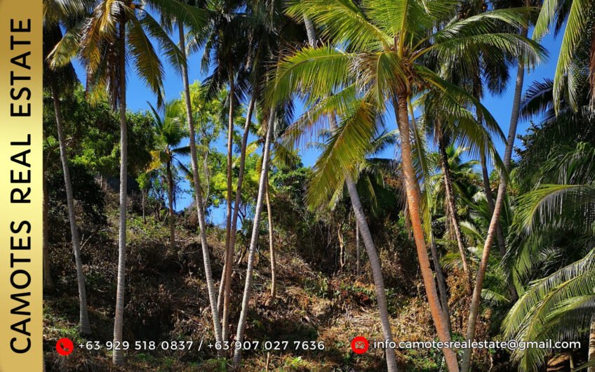 Lot for Sale with White Sand Beach