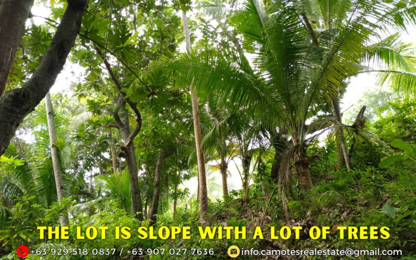 Lot for Sale with White Sand Beach