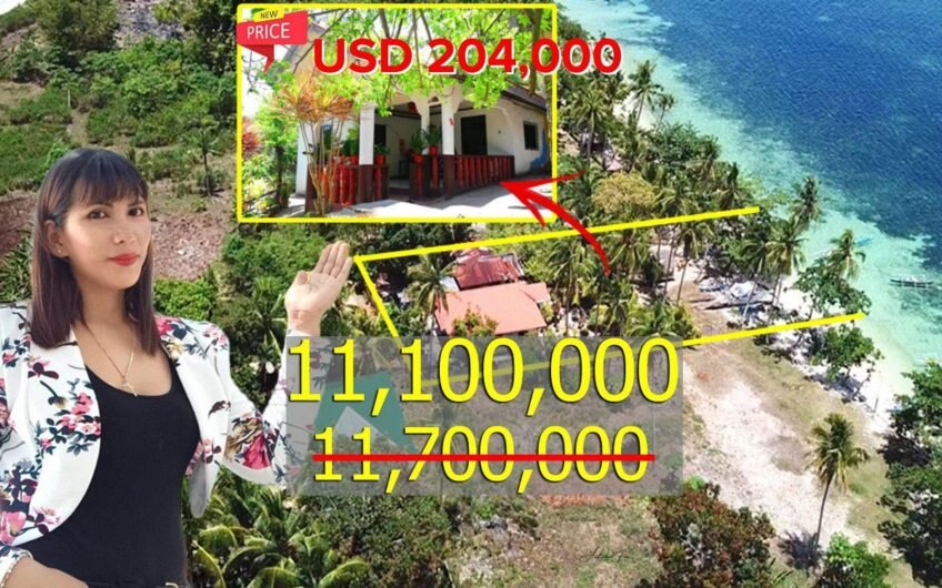 Top 13 Real Estate in Camotes Islands