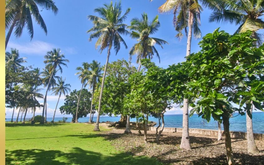 Beach Property with Romantic Native House