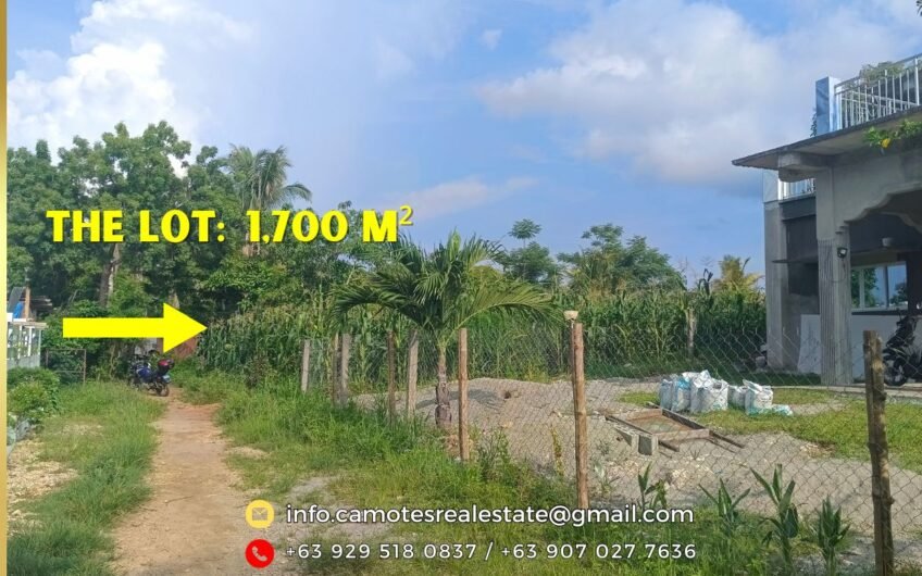 Residential lot for sale near the beach in Camotes