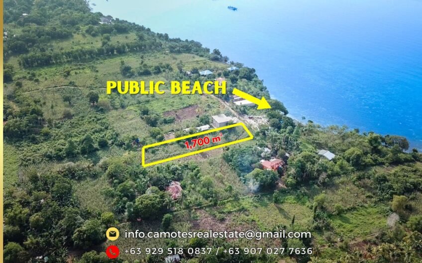 Residential lot for sale near the beach in Camotes