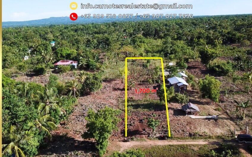 Residential lot for sale near the beach in Camotes