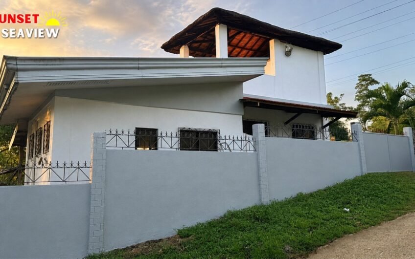 Affordable Newly Renovated House with Sea View