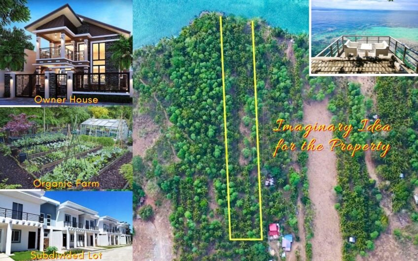 6 Lots with Reduced Prices in Camotes Island