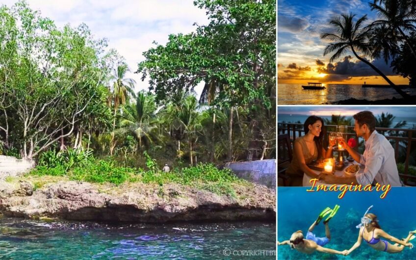6 Lots with Reduced Prices in Camotes Island
