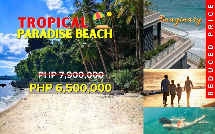 7 Lots with Reduced Prices in Camotes Island