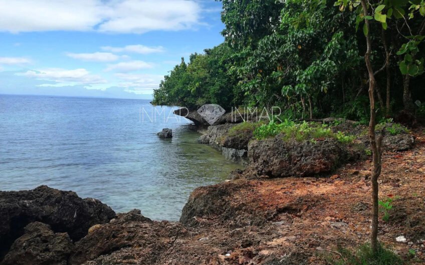 7 Lots with Reduced Prices in Camotes Island