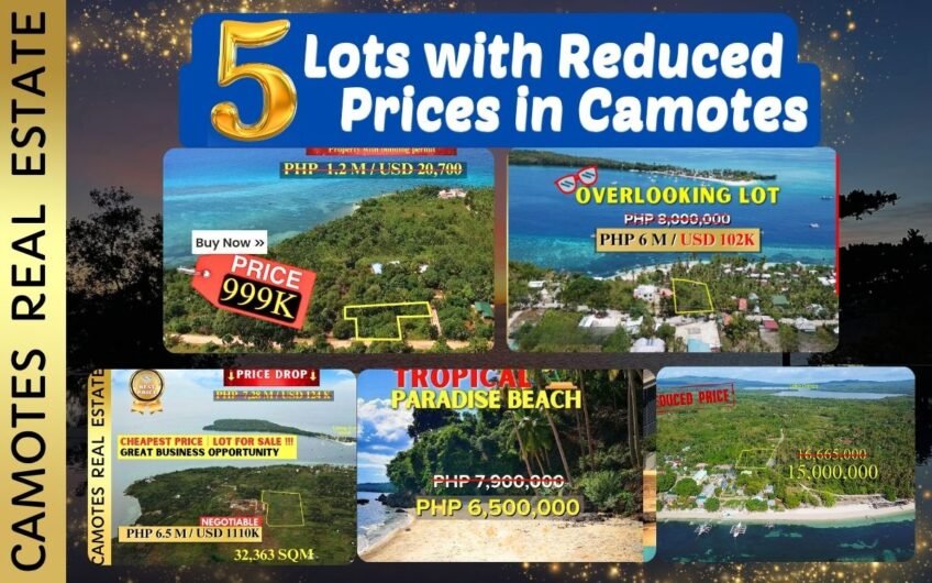 5 Lots with Reduced Prices in Camotes Island