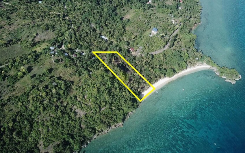 7 Lots with Reduced Prices in Camotes Island