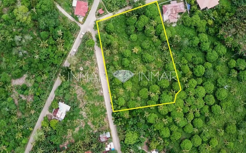 7 Lots with Reduced Prices in Camotes Island