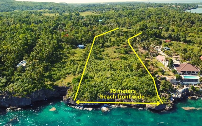 7 REDUCED PROPERTY PRICES IN CAMOTES